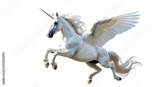 flying unicorn , isolated on white background, transparent PNG,