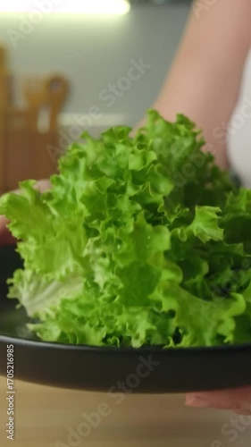 Fresh lettuce on a plate held by a person, kitchen backdrop
