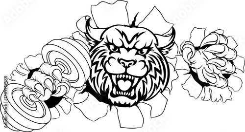 A wildcat cougar lynx lion weight lifting gym animal sports mascot holding a dumbbell weight in his claw