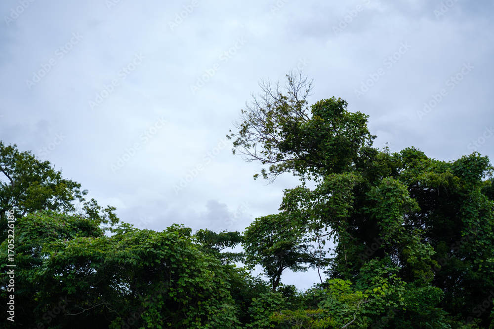 Obraz premium 散歩の途中で見つけた光景