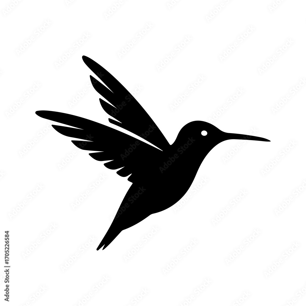 Fototapeta premium Hummingbird in flight with transparent background