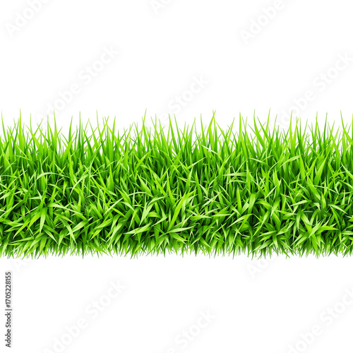 Vibrant Green Grass Border Isolated on White Background for Natural and Fresh Designs
