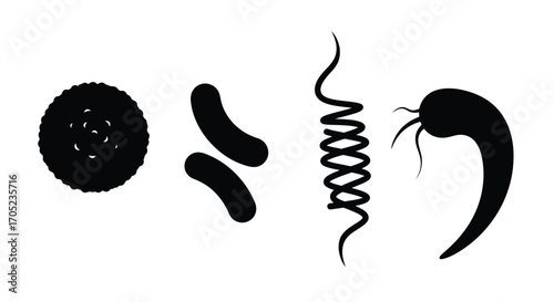 Diverse microscopic organisms and dna strand silhouette