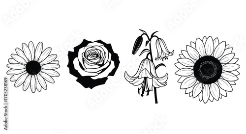Collection of delicate flower silhouettes including daisies and a rose
