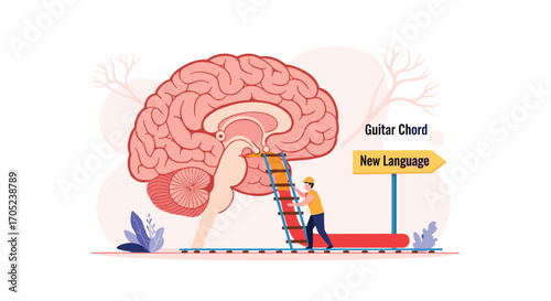 Learning Guitar Chords As A New Language For The Brain.