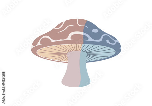 Whimsical dual-toned mushroom with a unique cap pattern and a soft stem in a pastel palette