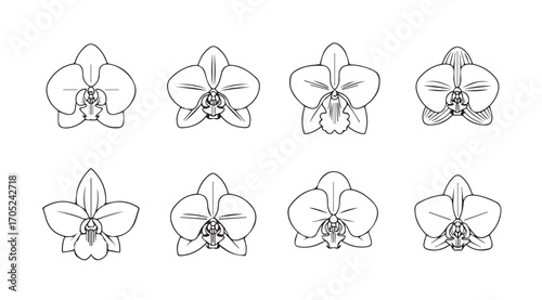 Collection of delicate orchid flower silhouettes in a grid layout