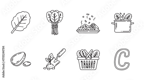 Collection of hand drawn silhouette illustrations of various leafy greens and vegetables silhouette