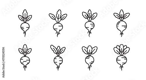 Collection of eight simple hand drawn radish vegetable silhouettes