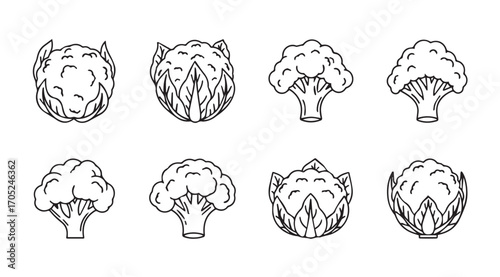 Collection of artistic broccoli and artichoke vegetable silhouettes in outline style