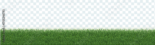 Grass Frame Border Isolated And Transparent Background
