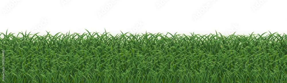 Obraz premium Green Grass Panorama Isolated White Background