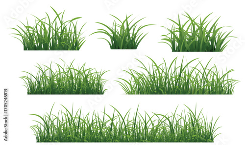 Green Grass Border Big Set