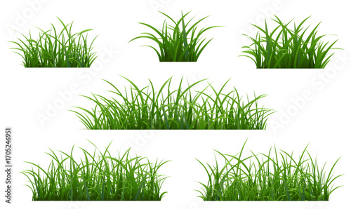 Green Grass Frame Isolated White Background