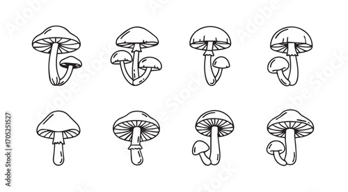 Collection of hand drawn mushroom silhouettes in various styles