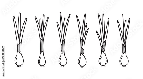 Six bunches of green onions illustrated in a simple silhouette style