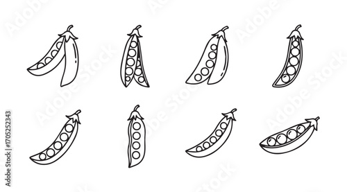 Collection of hand drawn pea pods in silhouette style