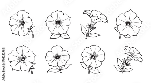 Collection of delicate petunia flower sketches in a distinctive silhouette style