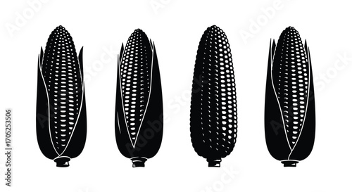 Four detailed corn cob silhouettes on a white background