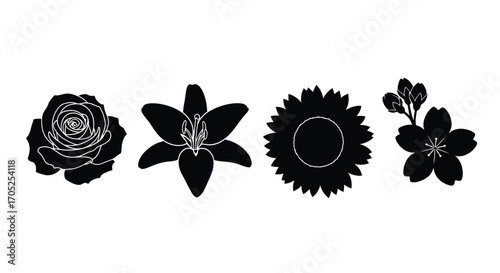 Φωτογραφία Collection of four distinct floral silhouettes on a white background