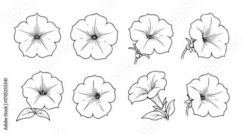 Cuadro en lienzo Collection of eight delicate petunia flower outlines in a sketch silhouette styl