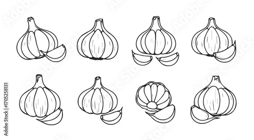 Collection of hand drawn garlic bulbs and cloves silhouette