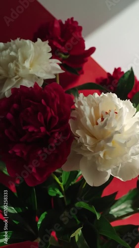 Red & white peonies