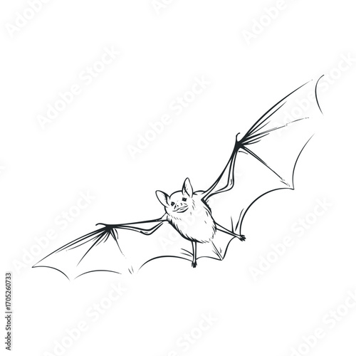 A hand-drawn flying bat against a white background.