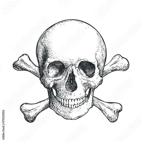 A skull and crossbones sketch on a white background.