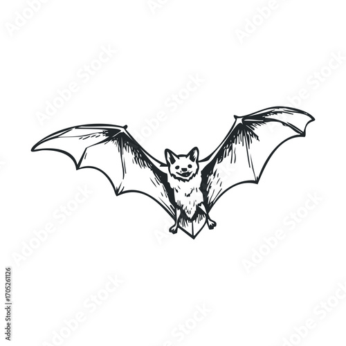 A simple sketch of a bat in flight.