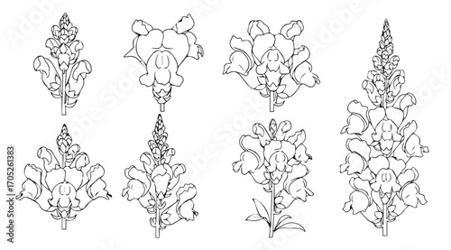 Collection of elegant floral silhouettes with intricate detailing