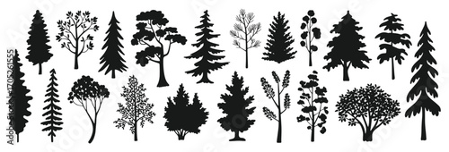Pine tree silhouettes. Evergreen forest firs and spruces black shapes