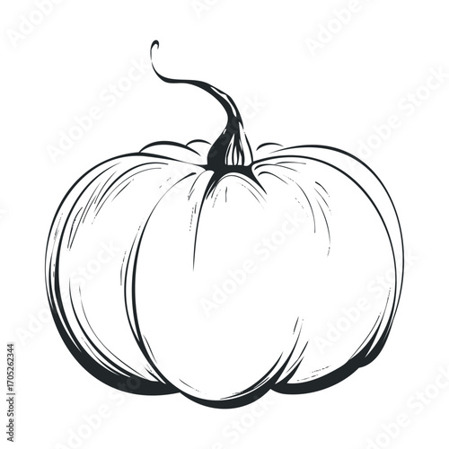 A line drawing of a pumpkin with a curly stem.
