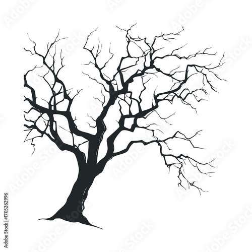 A detailed black and white drawing of a spooky, leafless tree.