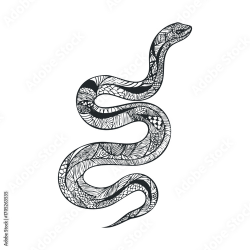 A detailed, stylized black and white drawing of a coiled snake.
