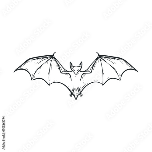 A bat flying with its wings fully spread.