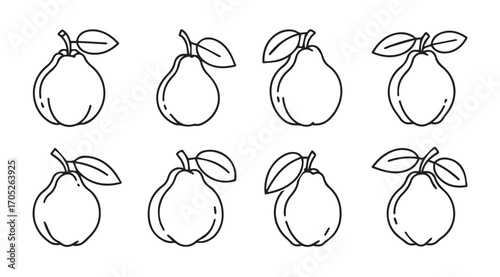 Collection of hand drawn pear illustrations with leafy stems silhouette