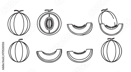 Collection of melon fruits and slices in a distinctive silhouette style