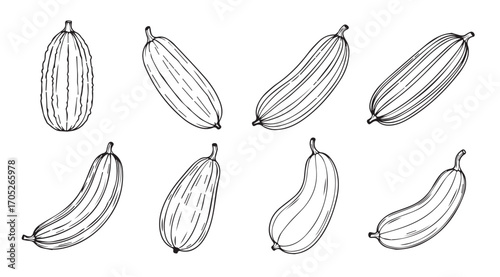 Collection of hand drawn cucumber silhouettes with detailed line art texture