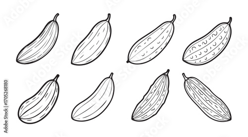 Collection of hand drawn cucumber silhouettes in various poses and textures