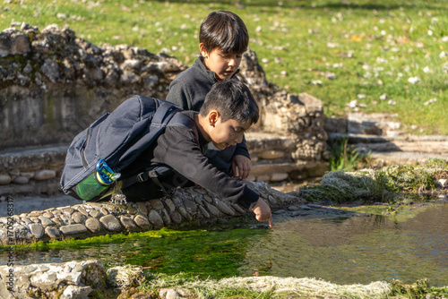 Elementary age kids exploring a pond on the nature showcasing the importance of environmental education in school
