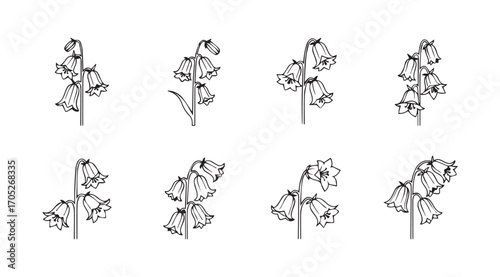 Collection of delicate floral branch silhouettes in a minimalist sketch style silhouette