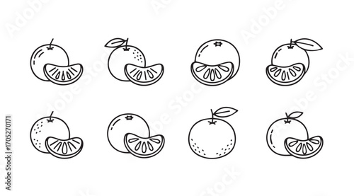 Collection of hand drawn orange fruits and slices in silhouette style