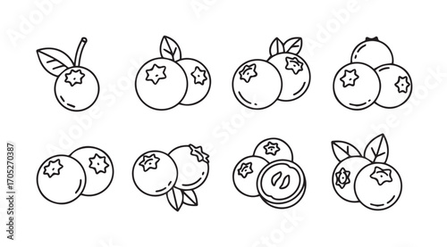 Collection of hand drawn blueberry illustrations in a simple silhouette style