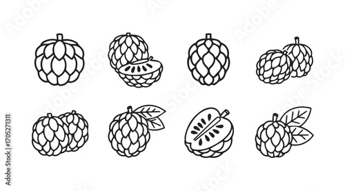 Collection of custard apple fruit illustrations in a simple silhouette style