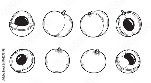 Collection of hand drawn lychee fruit illustrations in silhouette style