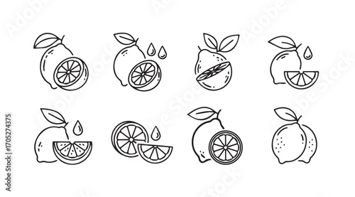 Collection of hand drawn lemon illustrations in a distinctive silhouette style