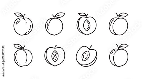 Collection of hand drawn plum fruit illustrations in a simple silhouette style