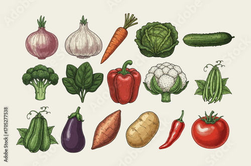 A vibrant collection of fresh vegetables hand drawn illustration, including tomato, carrot, and cabbage, for a healthy food illustration for design element