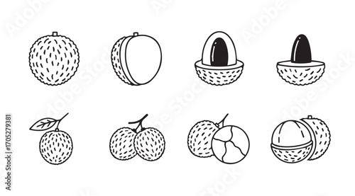 Collection of hand drawn tropical fruit illustrations in silhouette style